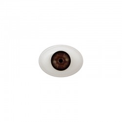 Augen oval braun-schwarz