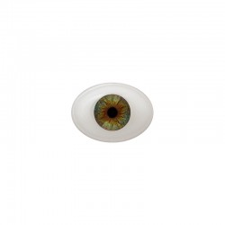 Augen oval braun-grün