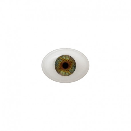 Augen oval braun-grün