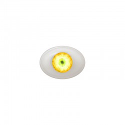 Augen oval gelb