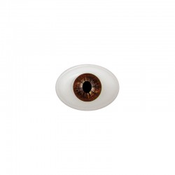 Augen oval braun