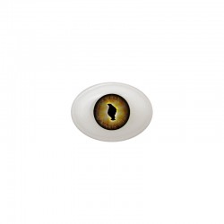 Augen oval braun