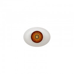 Augen oval braun