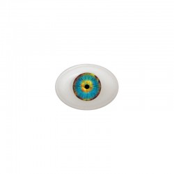 Augen oval blau-braun