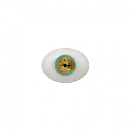 Augen oval grün-braun