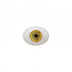 Augen oval braun