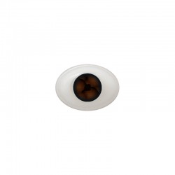 Augen oval braun