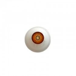Augen rund braun