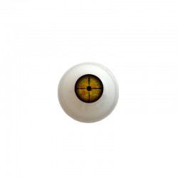 Augen rund braun
