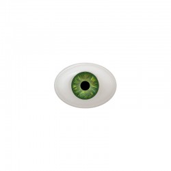 Augen oval grün