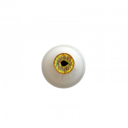Augen rund braun
