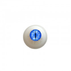 Augen rund blau