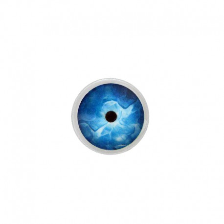 Tieraugen blau