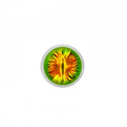 Tieraugen grün-orange