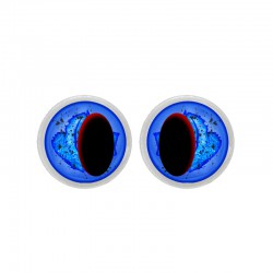 Tieraugen blau